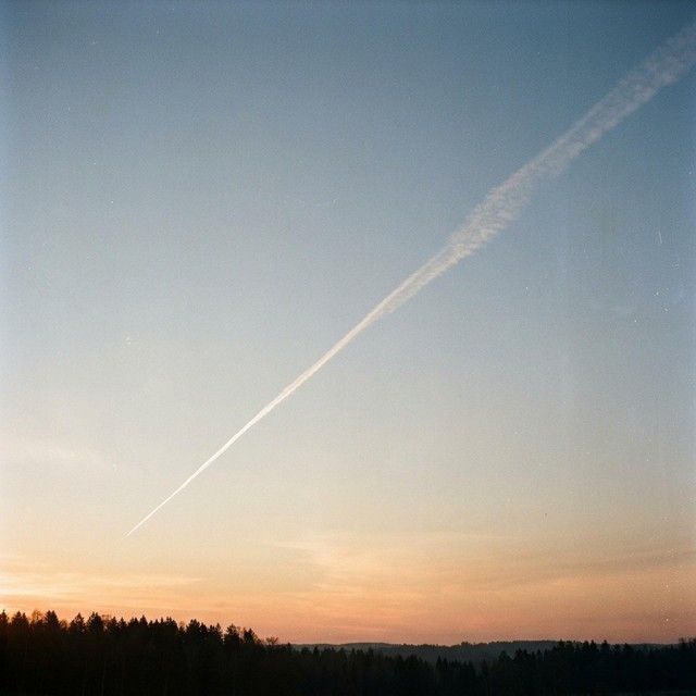 A contrail cutting across a dusk sky above a dark line of trees
